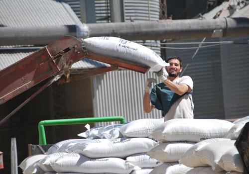  El arroz entrerriano agrega valor y gana mercados