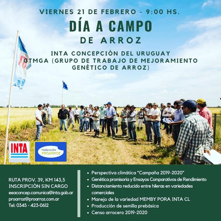 Dia de Campo de Arroz
