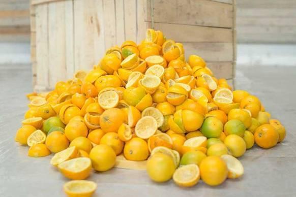 Convirtiendo desechos de naranja en tejidos