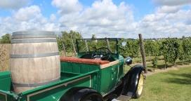 El Refugio, en busca de producir buen vino entrerriano
